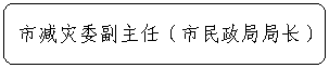 圆角矩形: 市减灾委副主任（市民政局局长）
