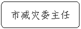 流程图: 可选过程: 市减灾委主任