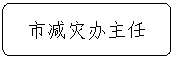 流程图: 可选过程: 市减灾办主任