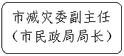 流程图: 可选过程: 市减灾委副主任 （市民政局局长） 