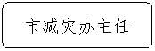 流程图: 可选过程: 市减灾办主任