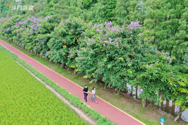 DJI_0754.jpg 图片