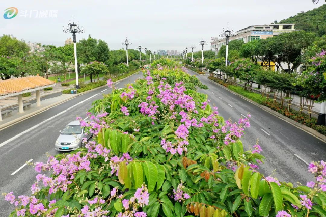 DJI_0784.jpg 图片