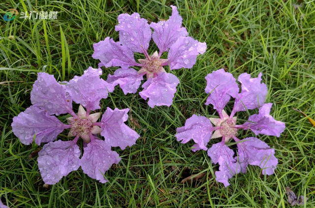 cd6b727864c7c5a2d71beec593517b4.jpg 图片