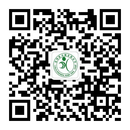 小林实验小学.png