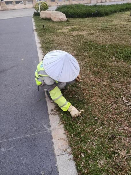 转存图片