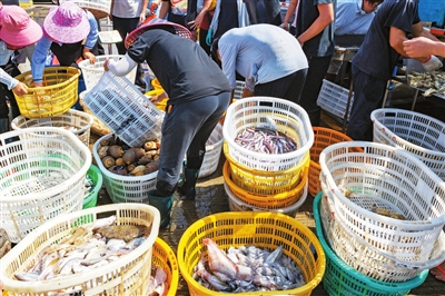 渔民在分拣海鲜。.jpg