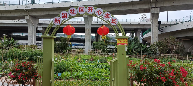 图片6.jpg