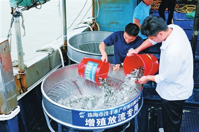 tqb0806003_006_01_b.jpg