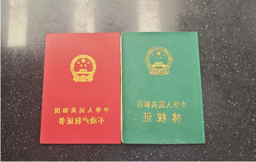 大发体育网站注册开户