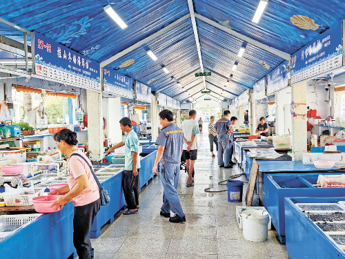 桂山岛海鲜市场恢复营业。.jpg