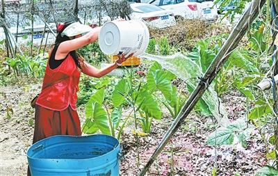斗门区志愿者翻盆倒罐清理积水。.jpg