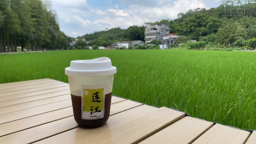 莲江村