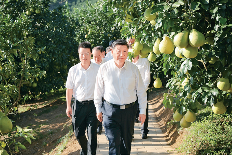 图3.jpg