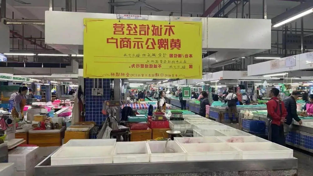 大发体育网站注册开户