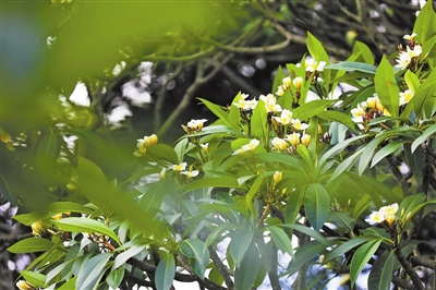 01tqb0527001_006_03_b.jpg