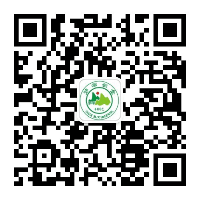 图片14.png