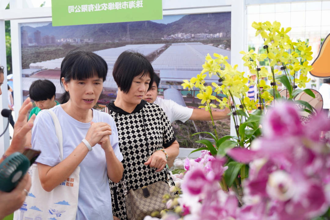 70gu13mk(1).png 图片