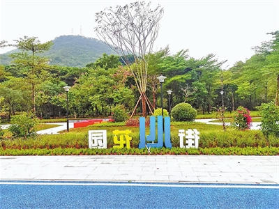 高栏港大道街心花园。.jpg