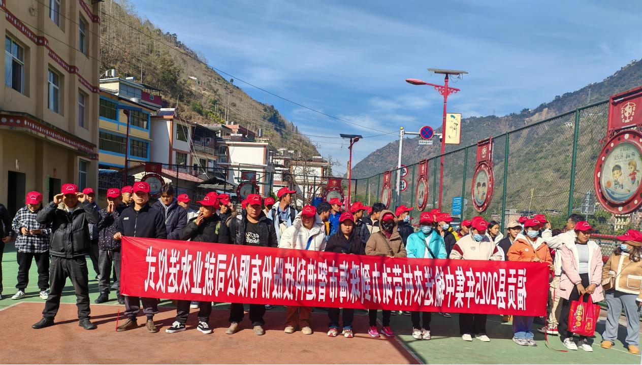 图片1.png