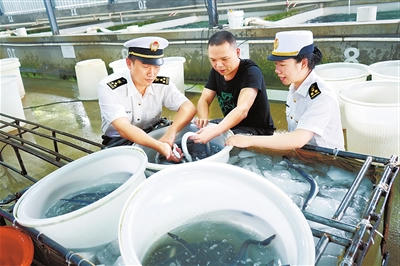 tqb0528002_003_01_b.jpg