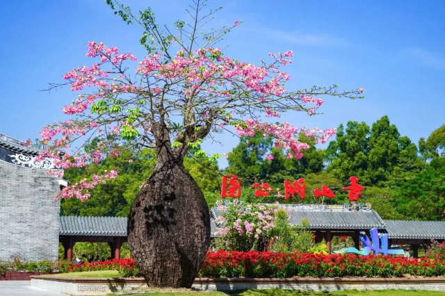 转存图片
