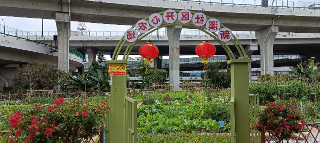 图片6.jpg